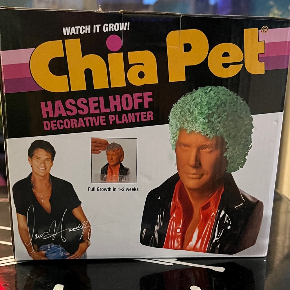 Chia Pet Hasselhoff Decorative Planter